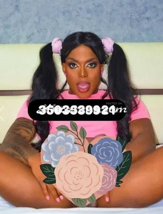 3 - Katalina Trans Latina - 3508539921