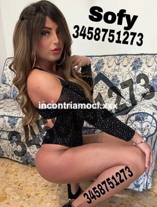32 - Sofy Trans Lucca - 3458751273