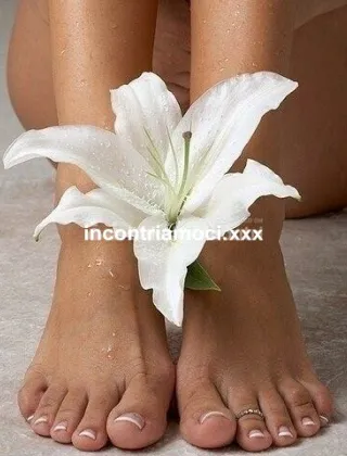 31 - Morgana Escort Monza e della Brianza - 3455241085