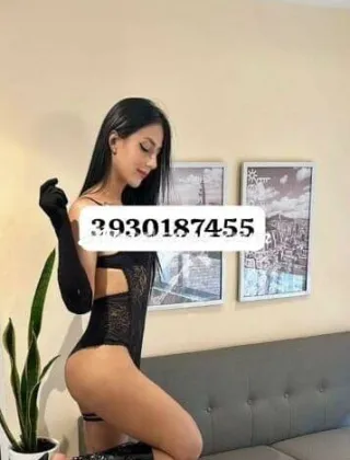 3930187455 - Ambar 22 Trans Milano