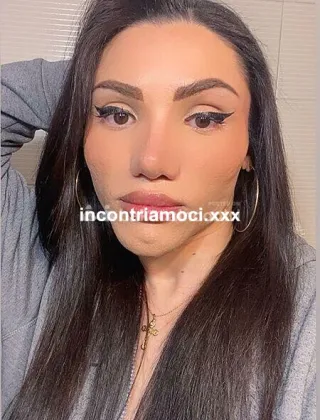 10 - Trans Brasiliana Trans Como - 3894273548