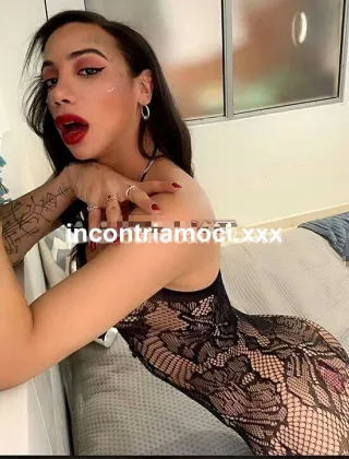 25 - Bruna Trans Forlì-Cesena - 3887391640