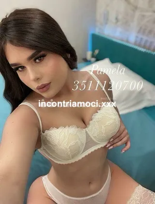 22 - Pamy Pornostar Trans Pesaro e Urbino - 3511120700