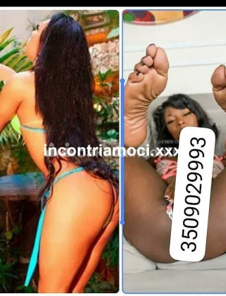 12 - Brenda Trans Perugia - 3509029993