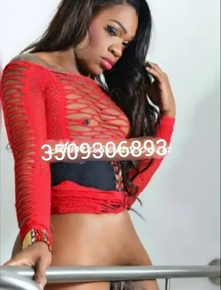 6 - Jazmin Trans Roma - 3509306893