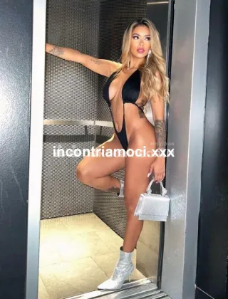 11 - Nicol Trans Udine - 3508011537