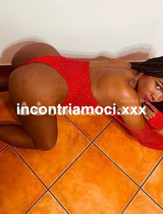 26 - Iza Ferrari Trans Imperia - 3509032971