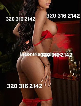 24 - Abbey Trans Treviso - 3203162142