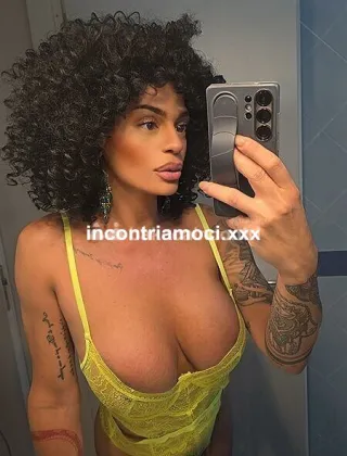18 - Serena Trans Udine - 3271309016
