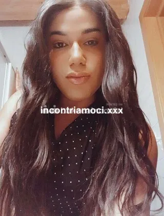 13 - Luna Trans Lucca - 3881078319