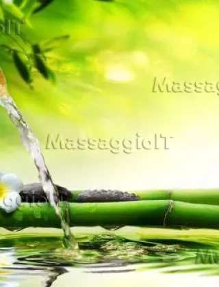 2 - Massaggi Milano - 3444256293