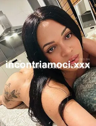 22 - Kelly Trans Bologna - 3512916990