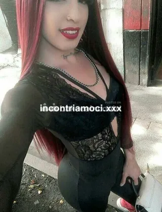 8 - Ama Trans Piacenza - 3317676188