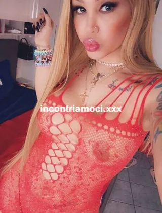 15 - Rebe Trans Milano - 3520272120