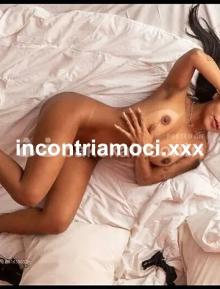 26 - Bruna Trans Valle d'aosta - 3514247071