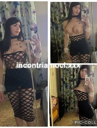 20 - Paloma Trans Lucca - 3755954738