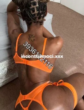 22 - Maya Trans Milano - 3936122116