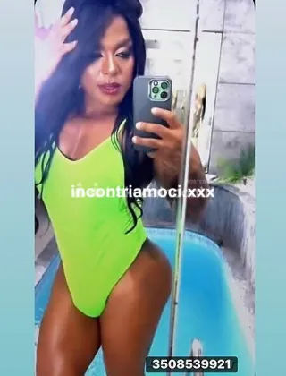 14 - Katalina Trans Latina - 3508539921