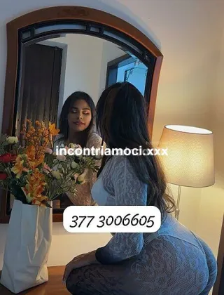 18 - Valentina Trans Trapani - 3773006605