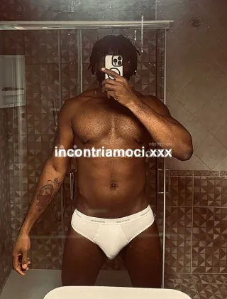 26 - Stallone Africano Coppie Napoli - 3509113369