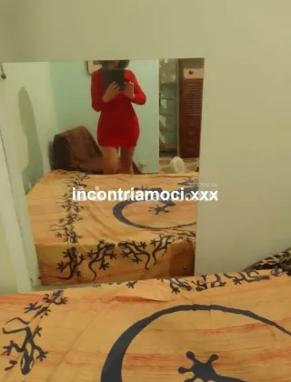 1 - Signora Italiana Escort Torino - 3533066344