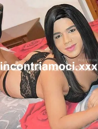 28 - Luna Trans Lucca - 3881078319