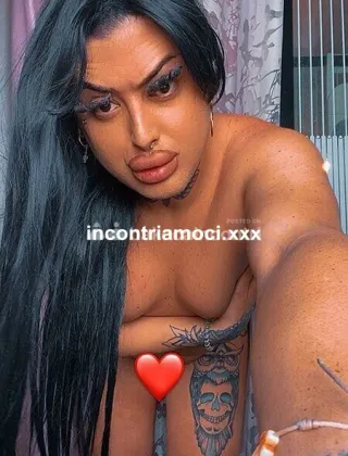 2 - Gabri Trans Campobasso - 3533276615