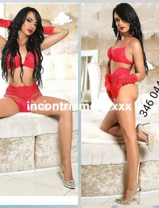 33 - Diana Trans Cosenza - 3460445431