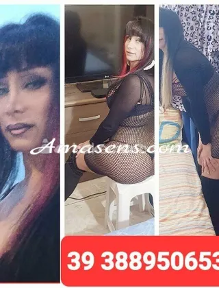 2 - Laris Trans Roma - 3889506531