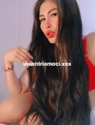 28 - Hailey Trans Parma - 3288072615