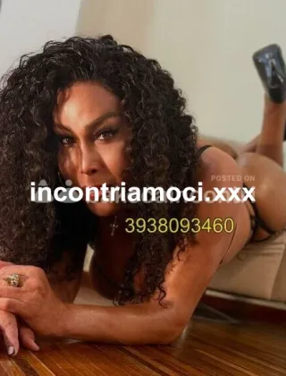 6 - Sheila Trans Livorno - 3938093460