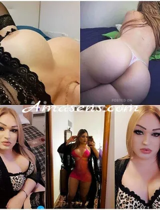 26 - Trans Bari - 3202597020