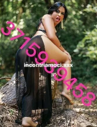 30 - Camilla Trans Frosinone - 3715939458