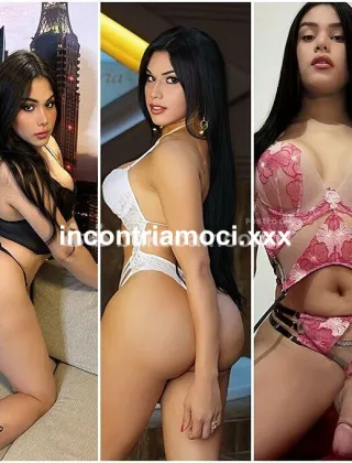 15 - Lola Trans Cagliari - 3273794819