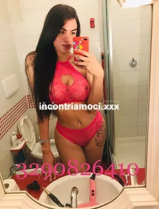 29 - New New Trans Biella - 3290826410