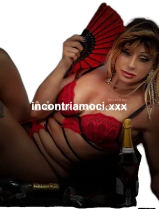 36 - Trans Trans Milano - 3801079313