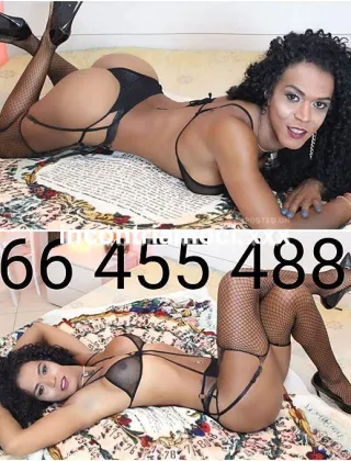 26 - Francesca Trans Udine - 3664554888