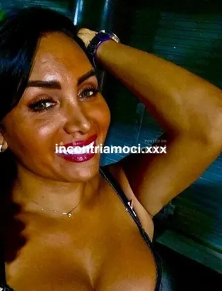 9 - Noelia Trans Campobasso - 3533965246