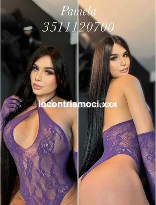 14 - Pamy Pornostar Trans Pesaro e Urbino - 3511120700
