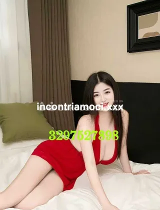 28 - Dolce Orientale Escort Parma - 3297527898