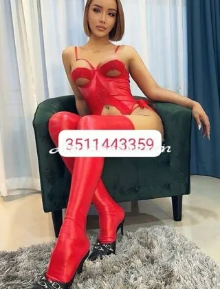 1 - Tina Trans Novara - 3511443359