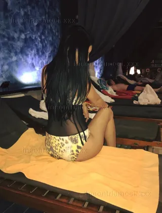 26 - Trans Solare Trans Reggio Emilia - 3445079721