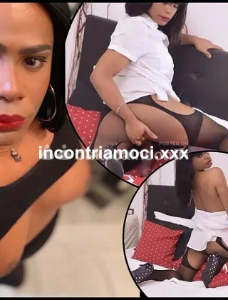 36 - T????????22Cm?? Trans Roma - 3520760870