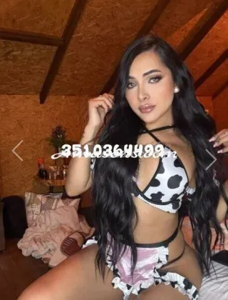 2 - Flavia Trans Varese - 3510364499