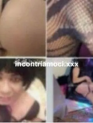 23 - Carla Trans Macerata - 3933596621