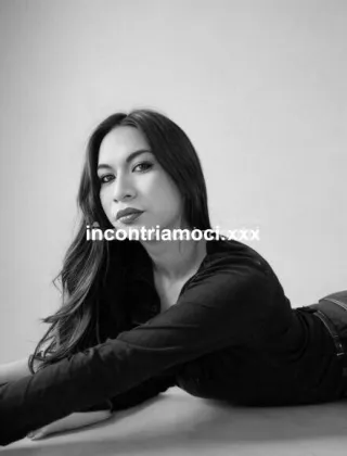 15 - Ariana Trans Modena - 3508988705