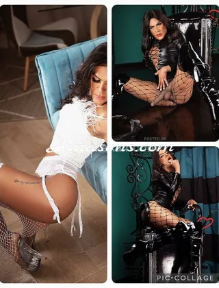 16 - Pamela Trans Imperia - 3509804403