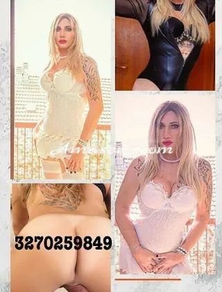 33 - Lumia Trans Trans Alessandria - 3511003646