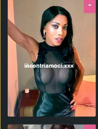 6 - Bruna Trans Ravenna - 3883590038