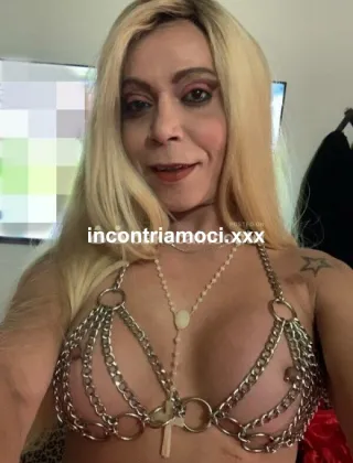 6 - Katy Trans Prato - 3511251887